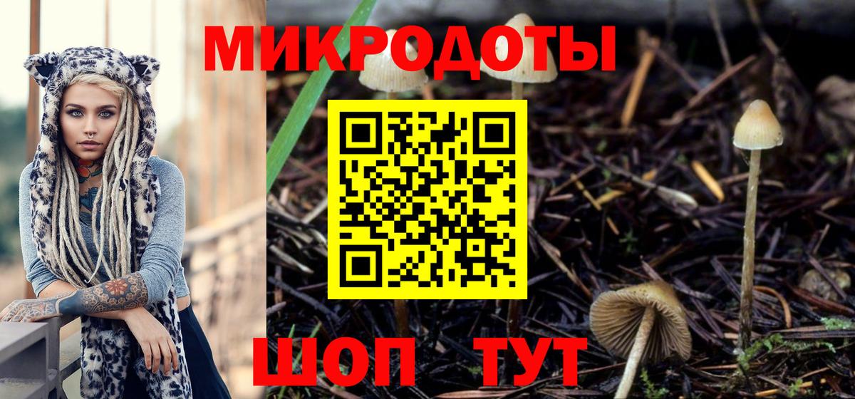 цена наркотик  Галлюциногенные грибы Cubensis  Вход с VPN  Кингисепп 
